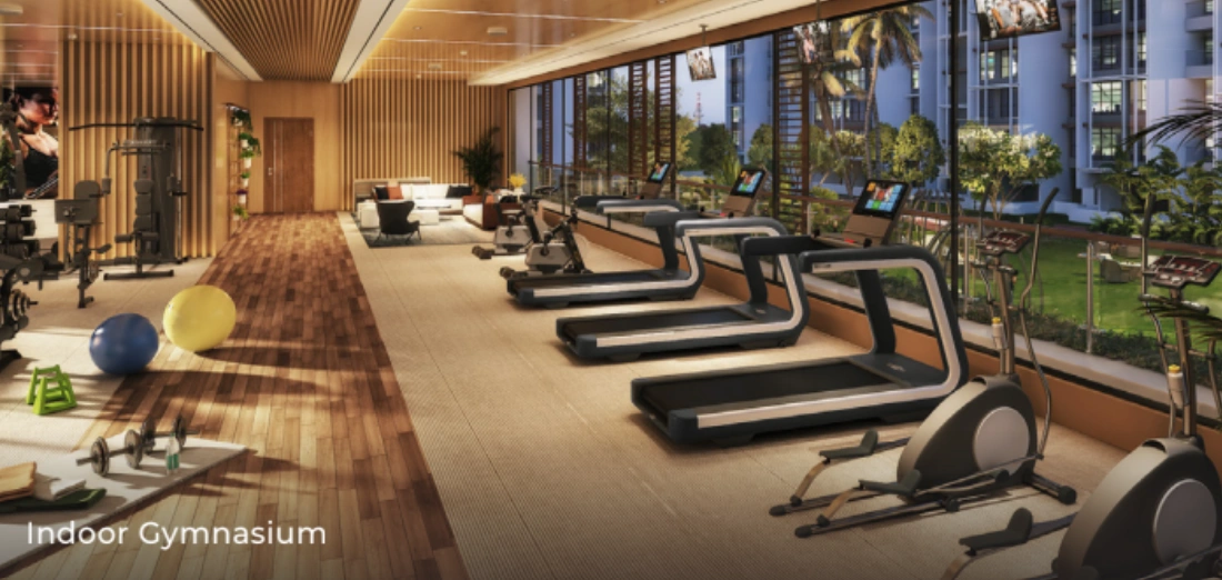 gym gym